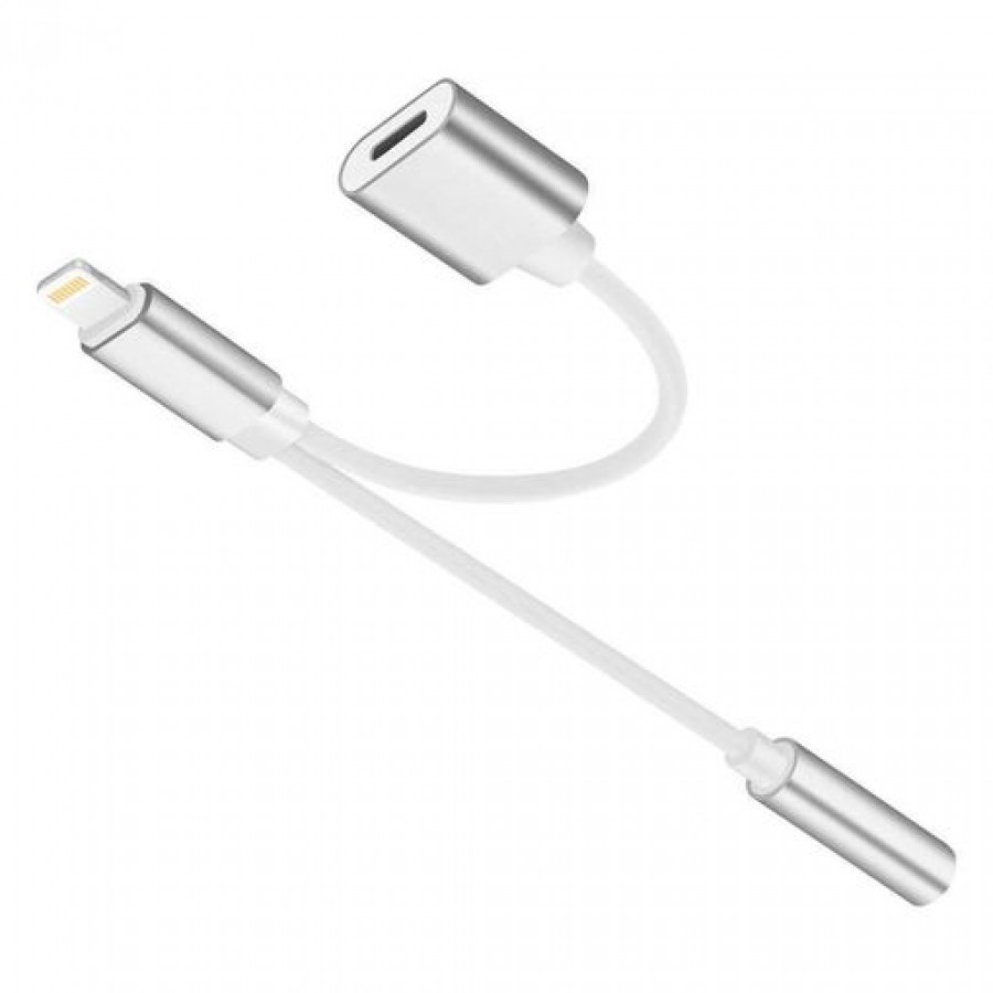 Lightning to 3.5 AUX Audio and Charger
