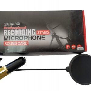 Professional Recording Stand Microphone